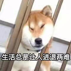 香港和宝典宝典免费资料大全